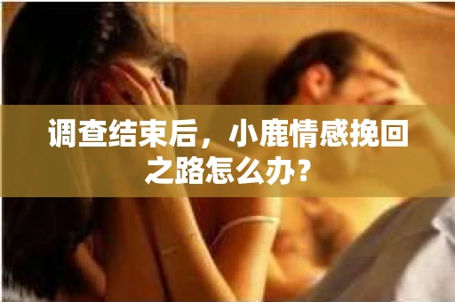 调查结束后，小鹿情感挽回之路怎么办？