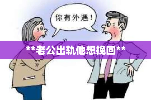 **老公出轨他想挽回**