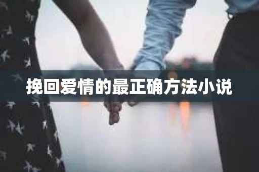 挽回爱情的最正确方法小说