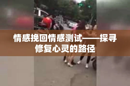 情感挽回情感测试——探寻修复心灵的路径