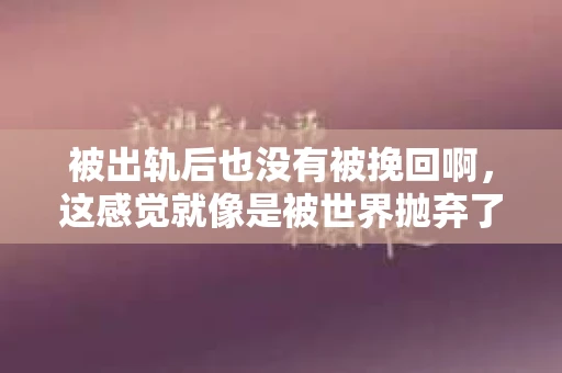 被出轨后也没有被挽回啊，这感觉就像是被世界抛弃了一样。我曾经也经历过这样的事情，那种心如刀割的痛，至今仍记忆犹新。今天，我想和大家聊聊这个话题，希望能给那些正在经历或者曾经经历过类似痛苦的人一些安慰和帮助。