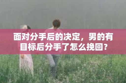 面对分手后的决定，男的有目标后分手了怎么挽回？