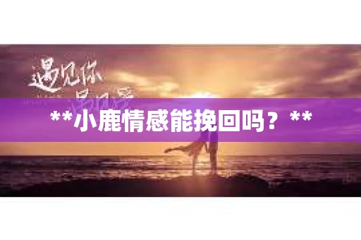 **小鹿情感能挽回吗？**