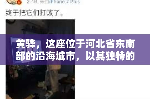 黄骅，这座位于河北省东南部的沿海城市，以其独特的地理位置和丰富的历史文化而闻名。然而，在这座城市中，还有一群人，他们以另一种方式默默守护着社会的公平与正义——私家侦探。今天，我们就来聊聊黄骅的私家侦探，看看他们是如何在这个城市中发挥作用的。
