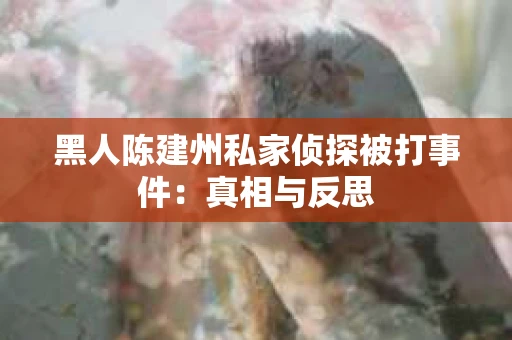 黑人陈建州私家侦探被打事件：真相与反思