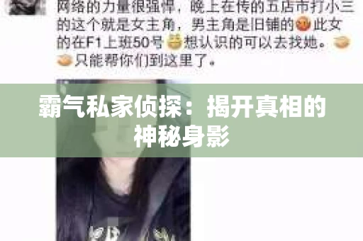 霸气私家侦探：揭开真相的神秘身影