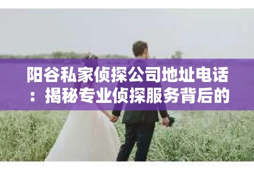 阳谷私家侦探公司地址电话：揭秘专业侦探服务背后的故事
