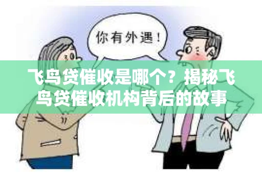 飞鸟贷催收是哪个？揭秘飞鸟贷催收机构背后的故事