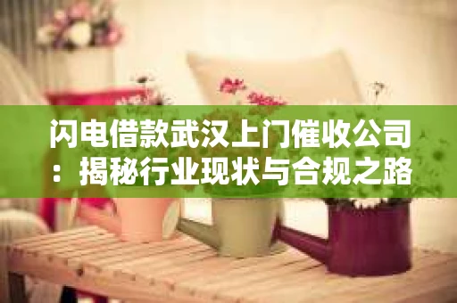 闪电借款武汉上门催收公司：揭秘行业现状与合规之路
