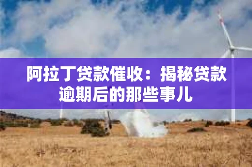 阿拉丁贷款催收：揭秘贷款逾期后的那些事儿