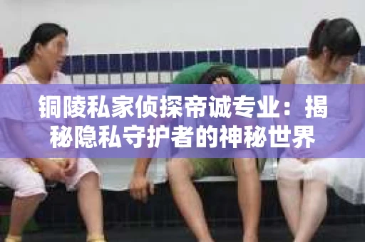 铜陵私家侦探帝诚专业：揭秘隐私守护者的神秘世界