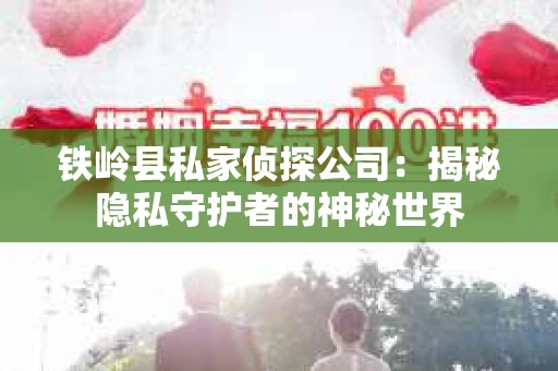 铁岭县私家侦探公司：揭秘隐私守护者的神秘世界