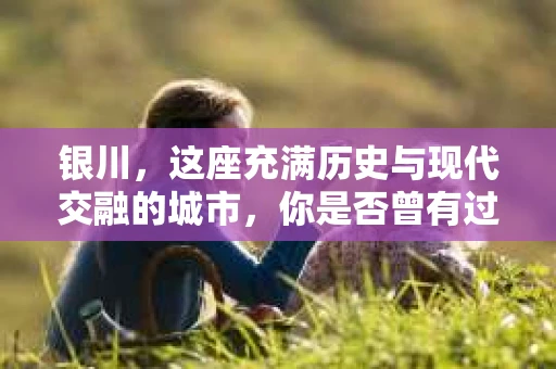 银川，这座充满历史与现代交融的城市，你是否曾有过这样的疑问：银川有私家侦探公司吗？今天，就让我带你一起揭开这个谜团。