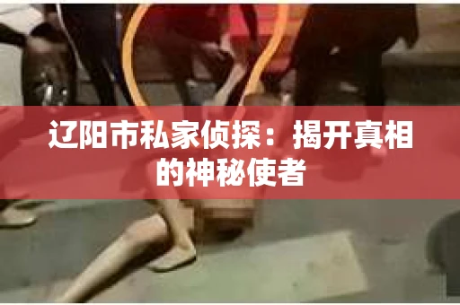 辽阳市私家侦探：揭开真相的神秘使者