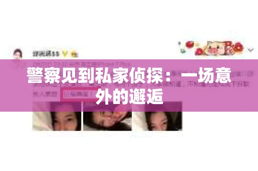 警察见到私家侦探：一场意外的邂逅