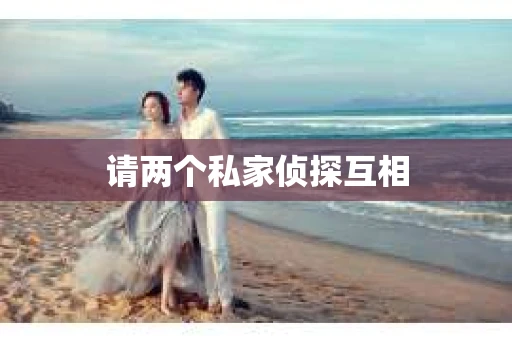 请两个私家侦探互相
