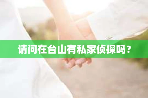 请问在台山有私家侦探吗？