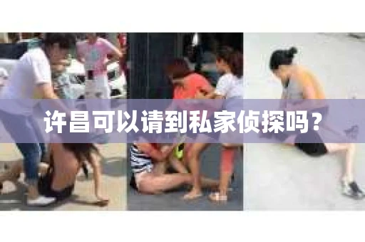 许昌可以请到私家侦探吗？
