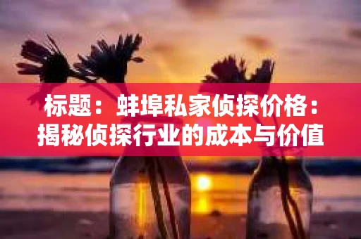 标题：蚌埠私家侦探价格：揭秘侦探行业的成本与价值