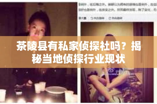 茶陵县有私家侦探社吗？揭秘当地侦探行业现状