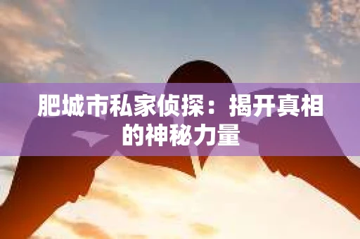 肥城市私家侦探：揭开真相的神秘力量