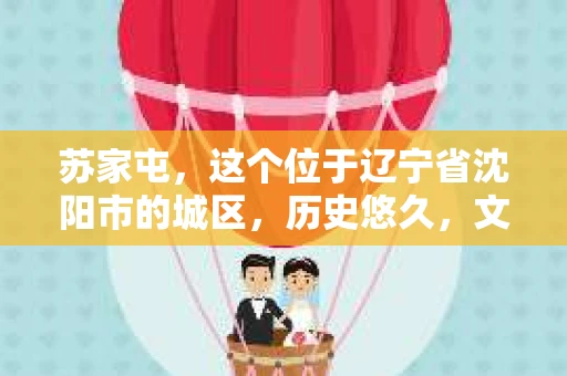 苏家屯，这个位于辽宁省沈阳市的城区，历史悠久，文化底蕴深厚。近年来，随着社会的发展，人们对于私家侦探的需求也逐渐增加。那么，苏家屯有私家侦探吗？今天，我们就来聊聊这个话题。