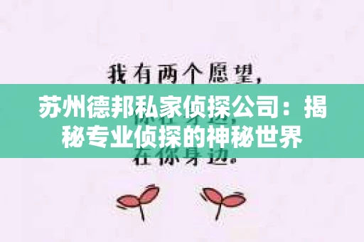 苏州德邦私家侦探公司：揭秘专业侦探的神秘世界