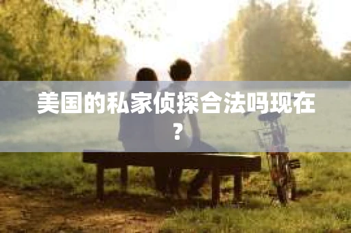 美国的私家侦探合法吗现在？