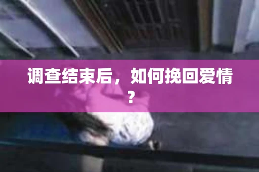 调查结束后，如何挽回爱情？