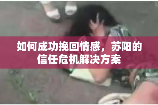 如何成功挽回情感，苏阳的信任危机解决方案