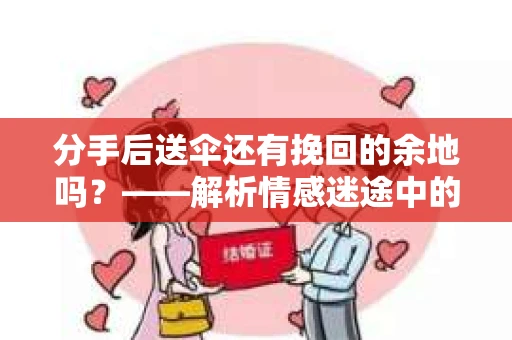 分手后送伞还有挽回的余地吗？——解析情感迷途中的决策