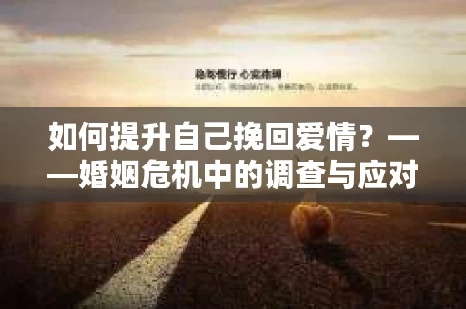如何提升自己挽回爱情？——婚姻危机中的调查与应对策略